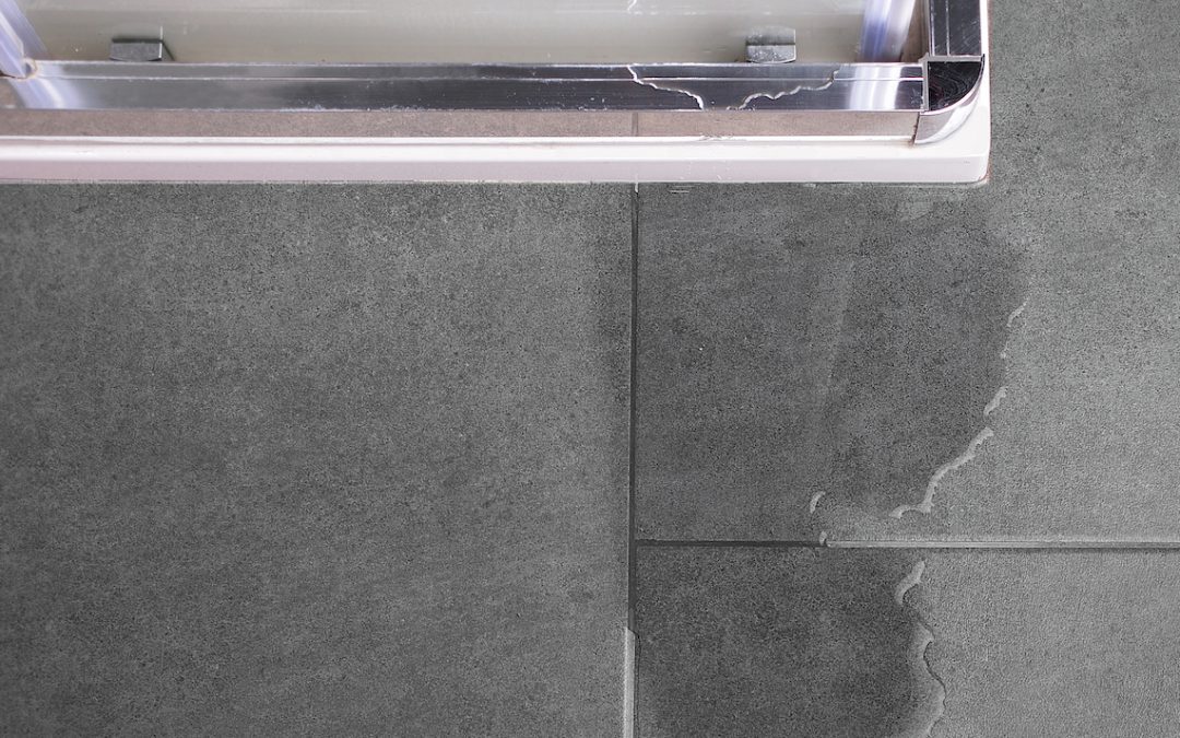 What to do if your shower is leaking